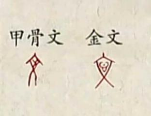 插图 5