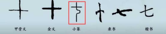 插图 19