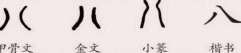 插图 21