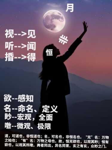 插图 31